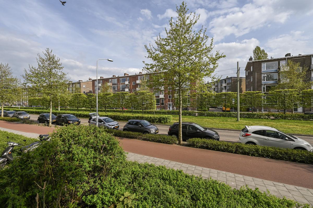 Monseigneur van Steelaan 37