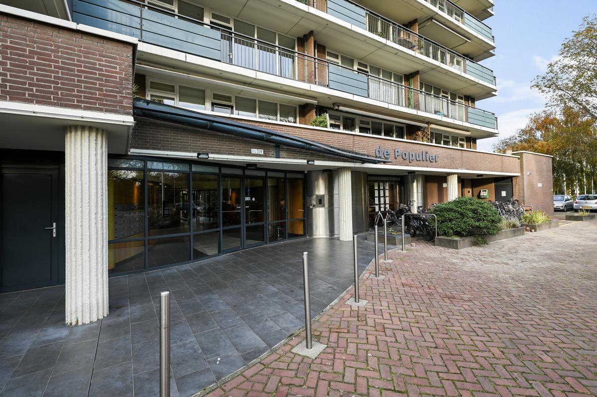 Populierendreef 309