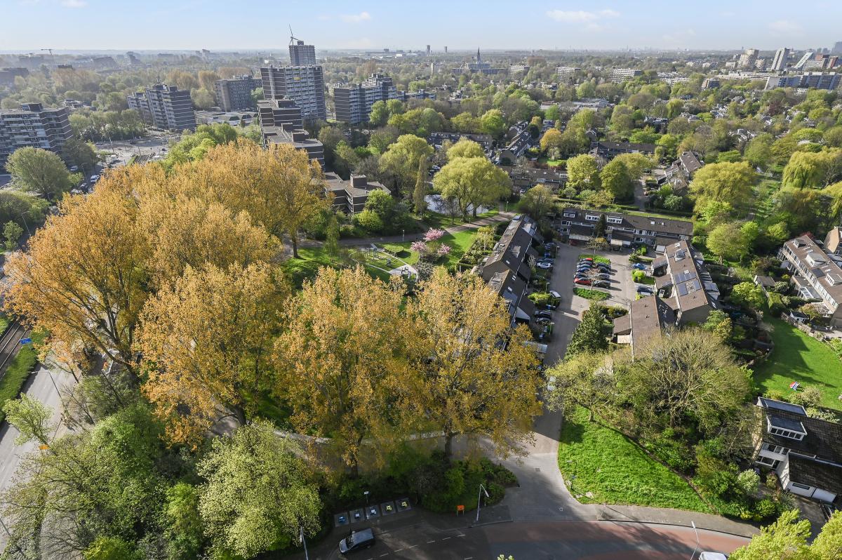 Populierendreef 309