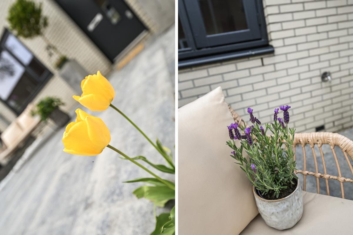 Kuifduikerstraat 11