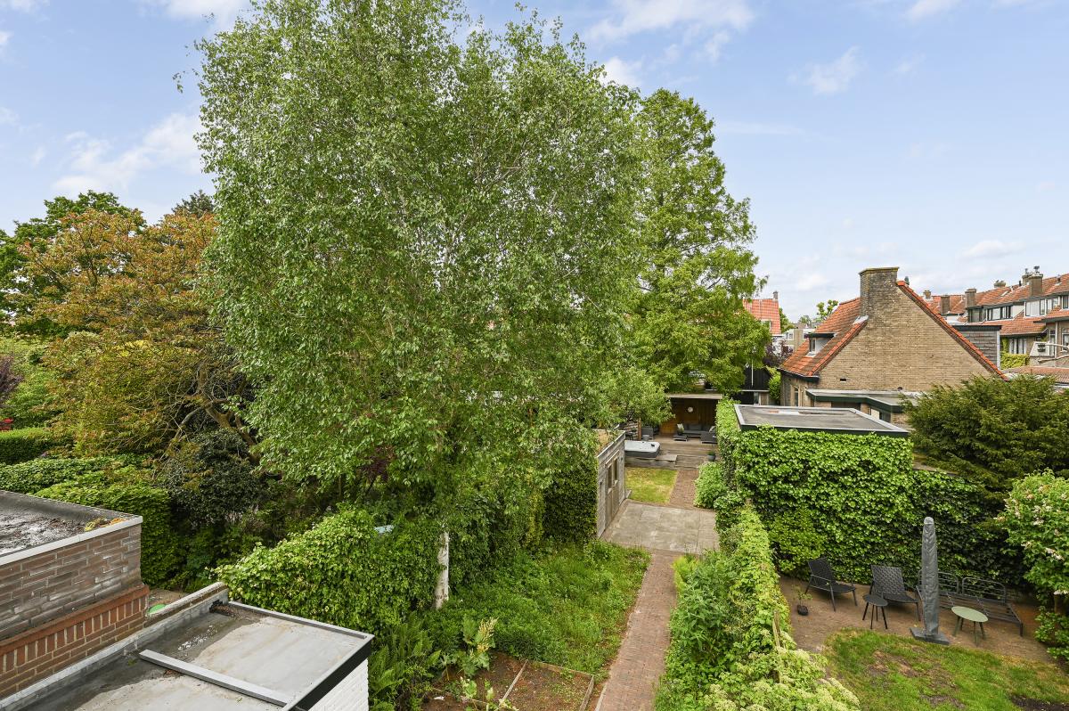 Damsigtstraat 56