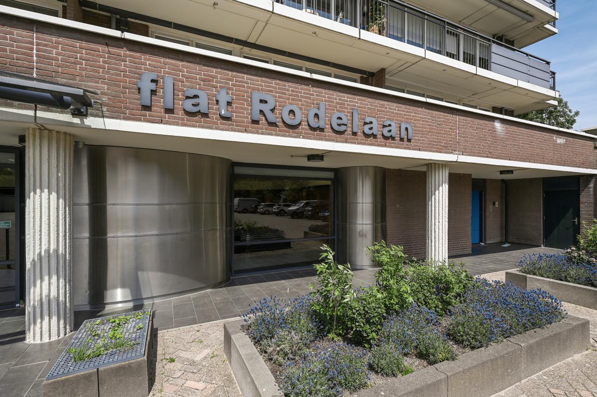 Rodelaan 419
