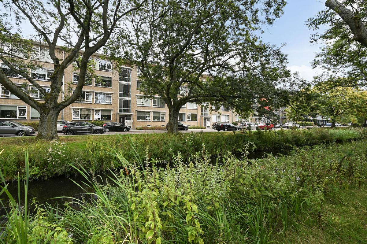 Aart van der Leeuwkade 36